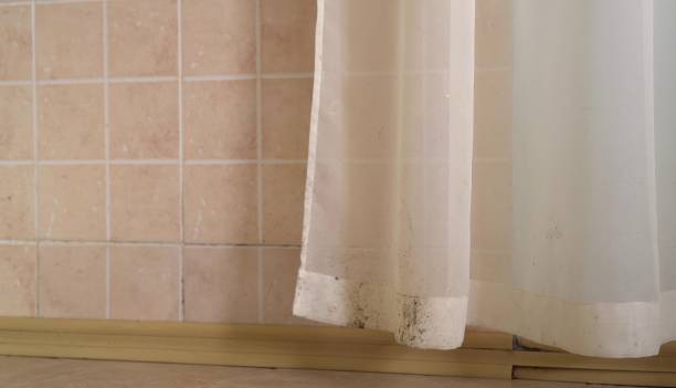 Best Residential Mold Inspection & Testing  in Martinsburg, WV