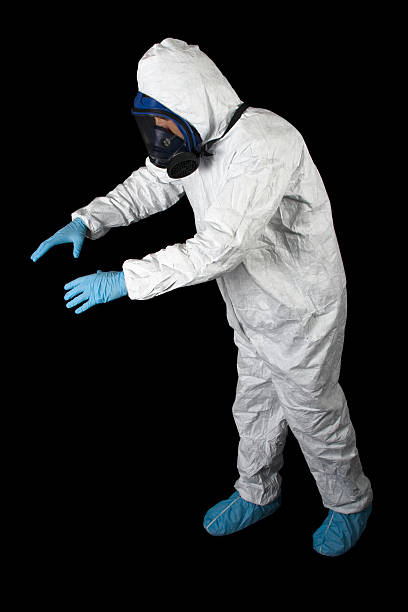 Best Black Mold Removal  in Martinsburg, WV